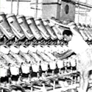 Ruti automatic looms